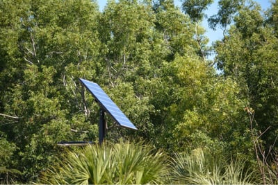 How Solar Panels Perform in Shaded Environments?